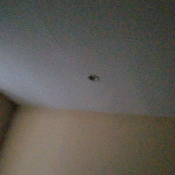 Meet your Posher, Tori - Picture 1 of 1